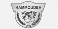 Hammoudeh3_0
